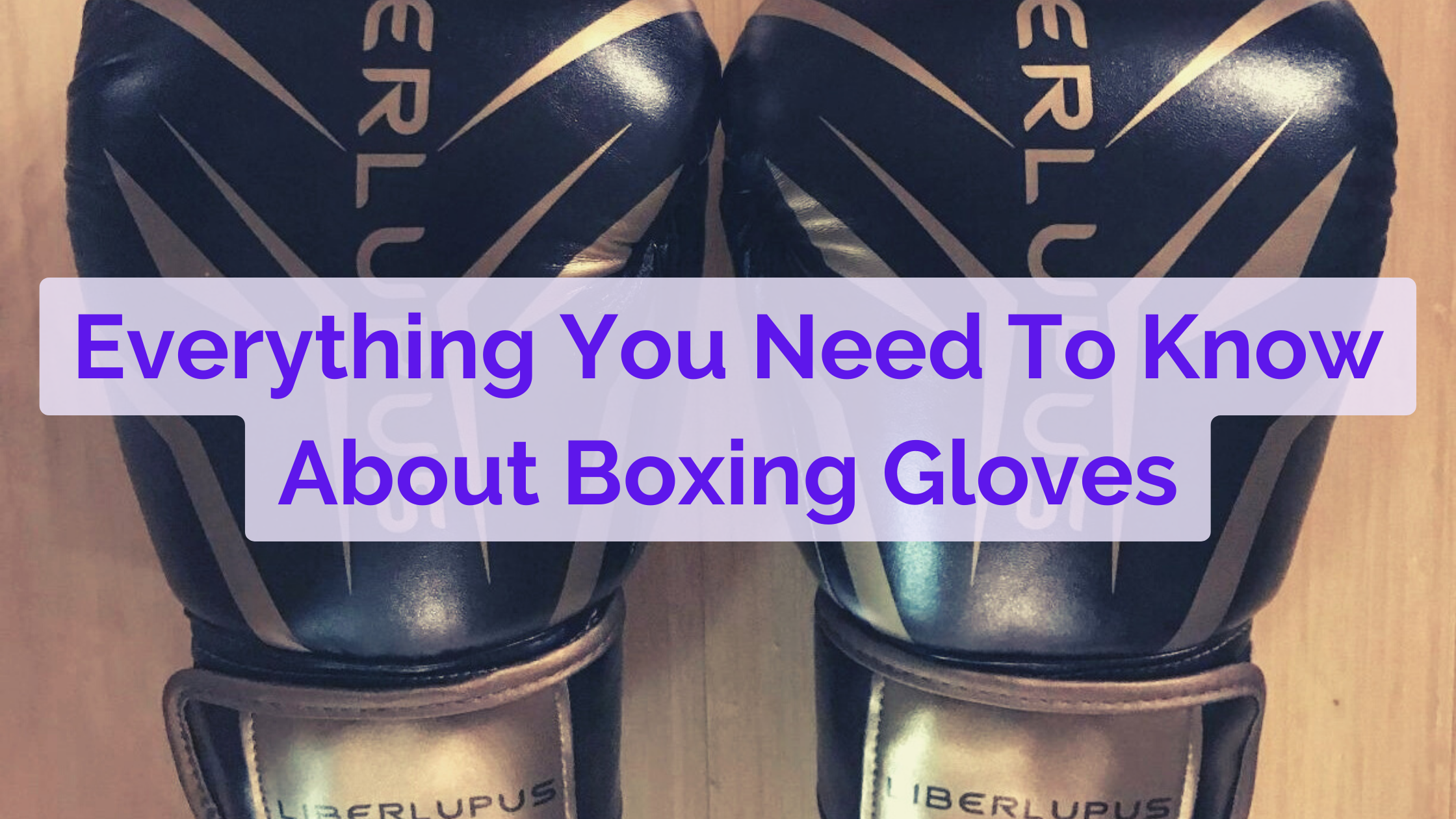 Everything You Need To Know About Boxing Gloves