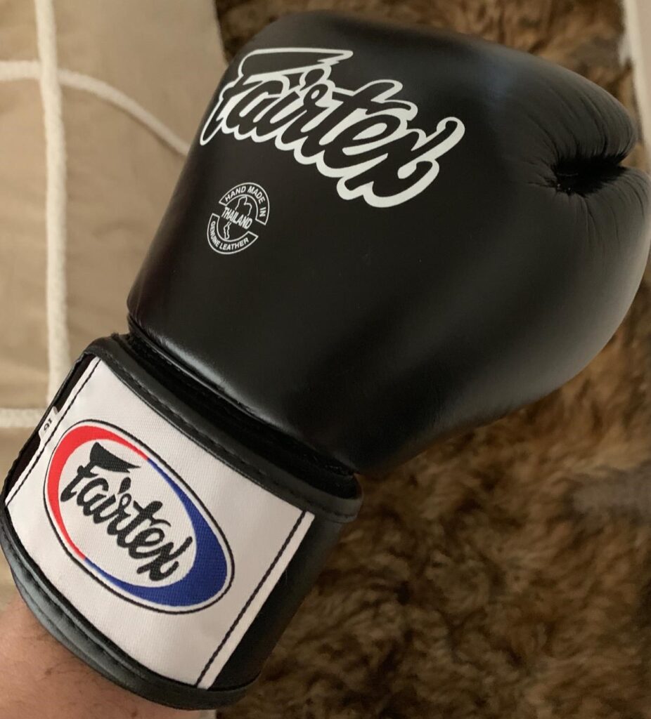 Fairtex BGV1 Muay Thai Boxing Training Sparring Gloves