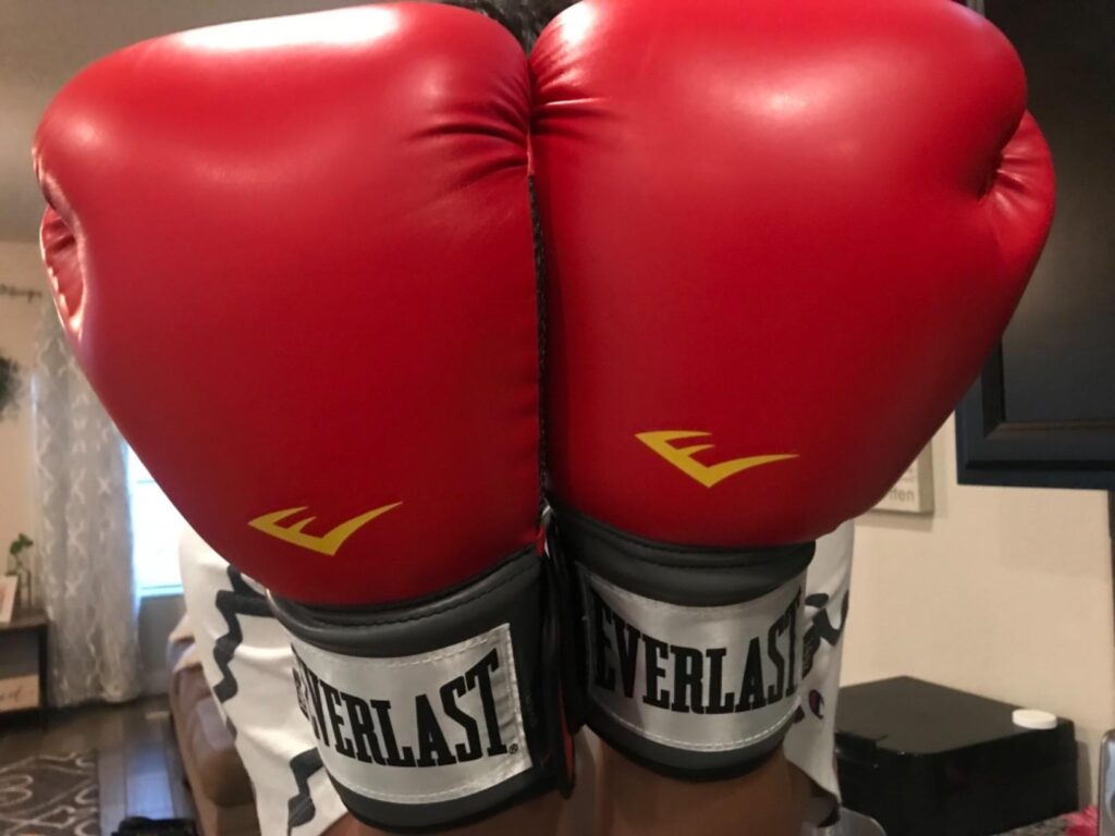 everlast boxing gloves brand