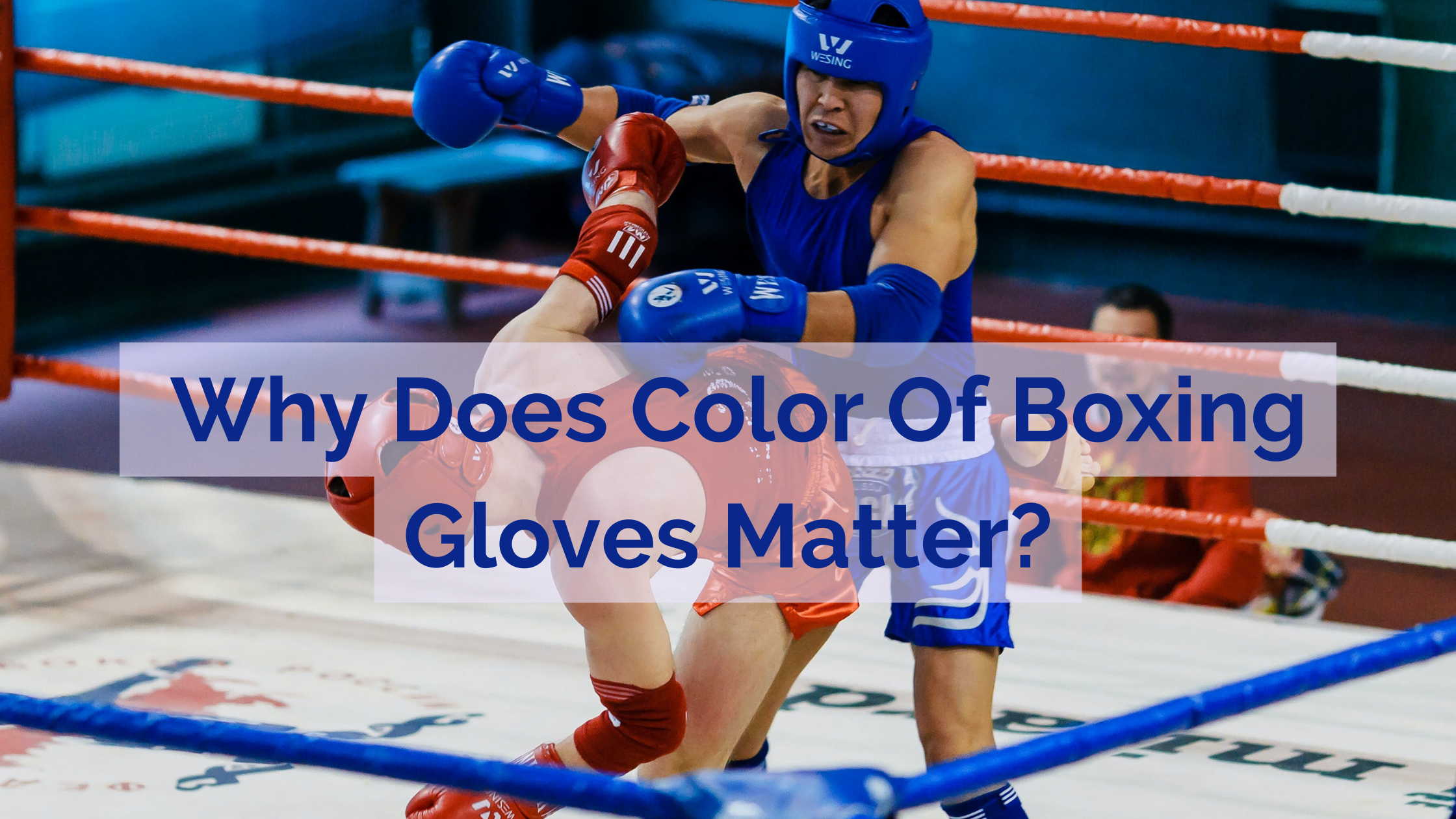 Why Does Color Of Boxing Gloves Matter