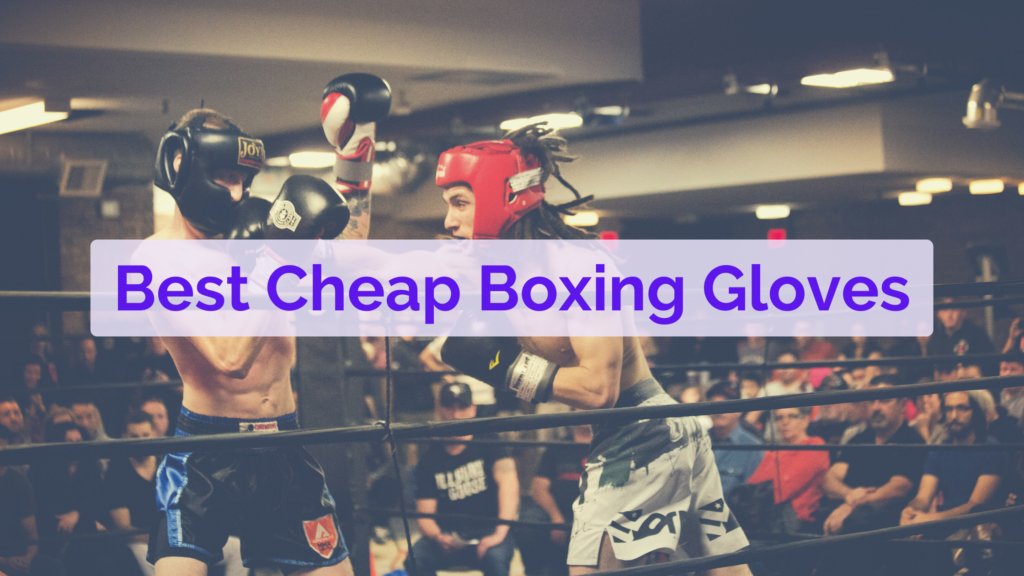 Best cheap boxing gloves