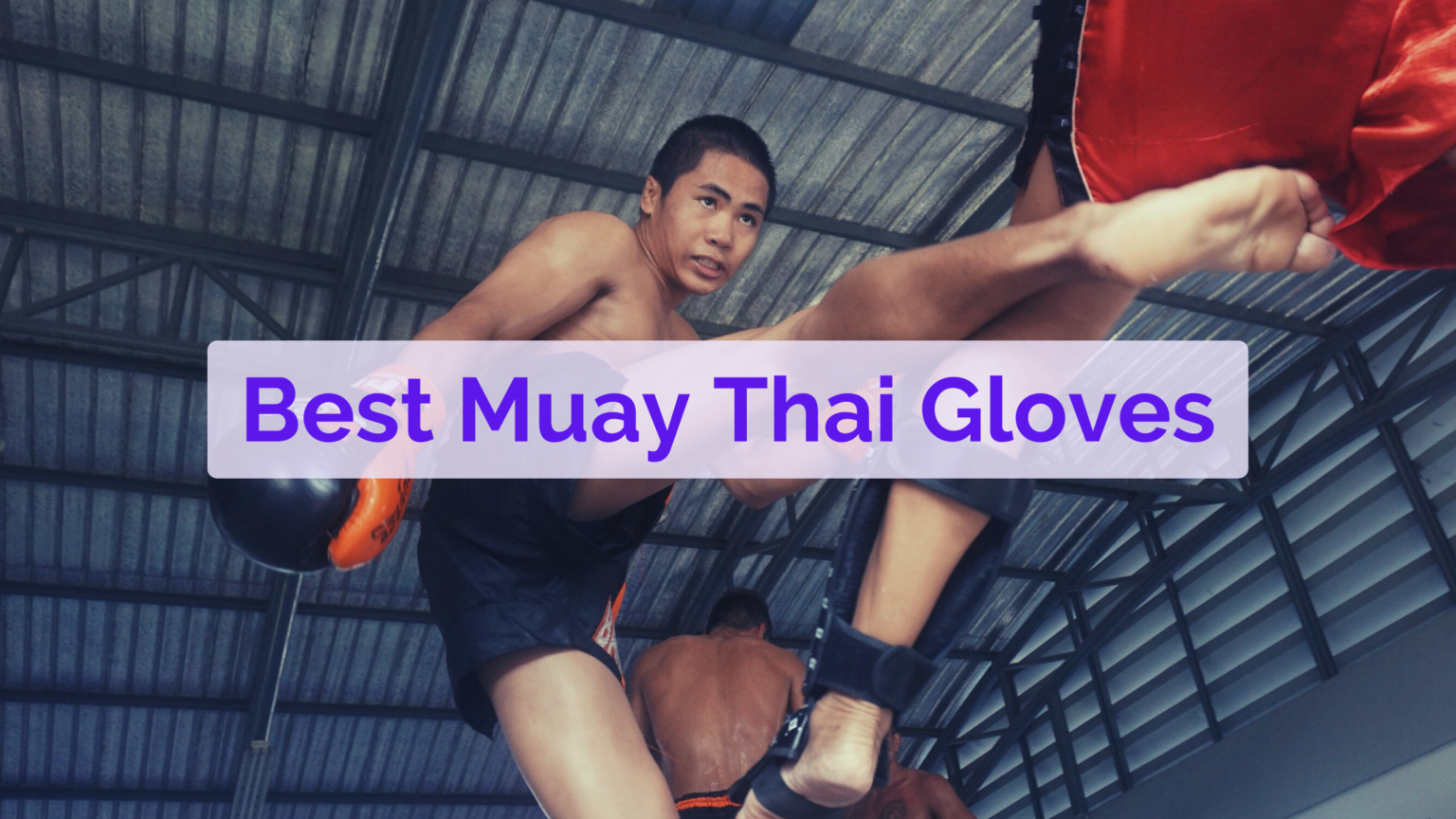 10 Best Muay Thai Gloves In 2024 Gloves Addict 