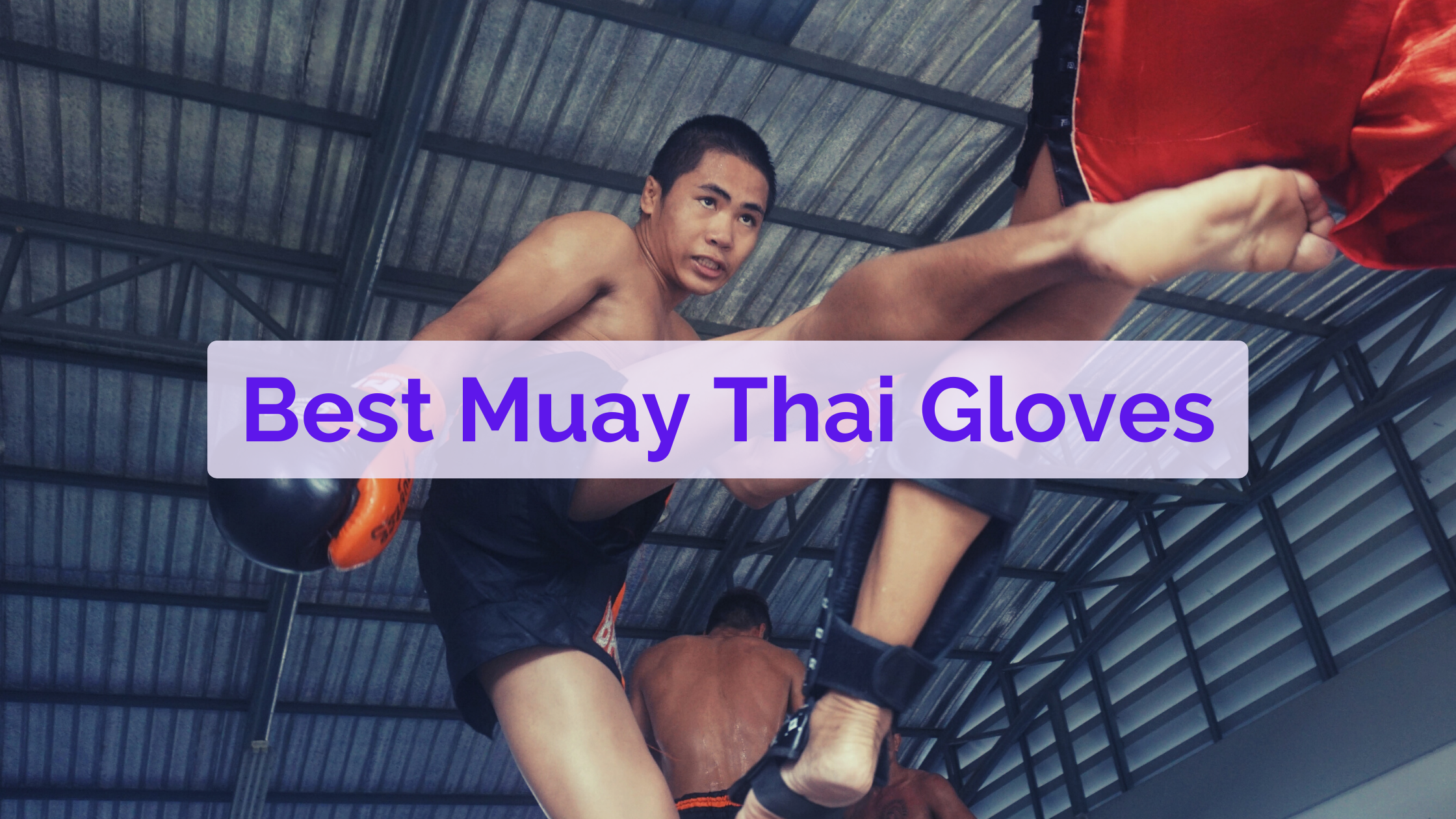 best muay thai gloves