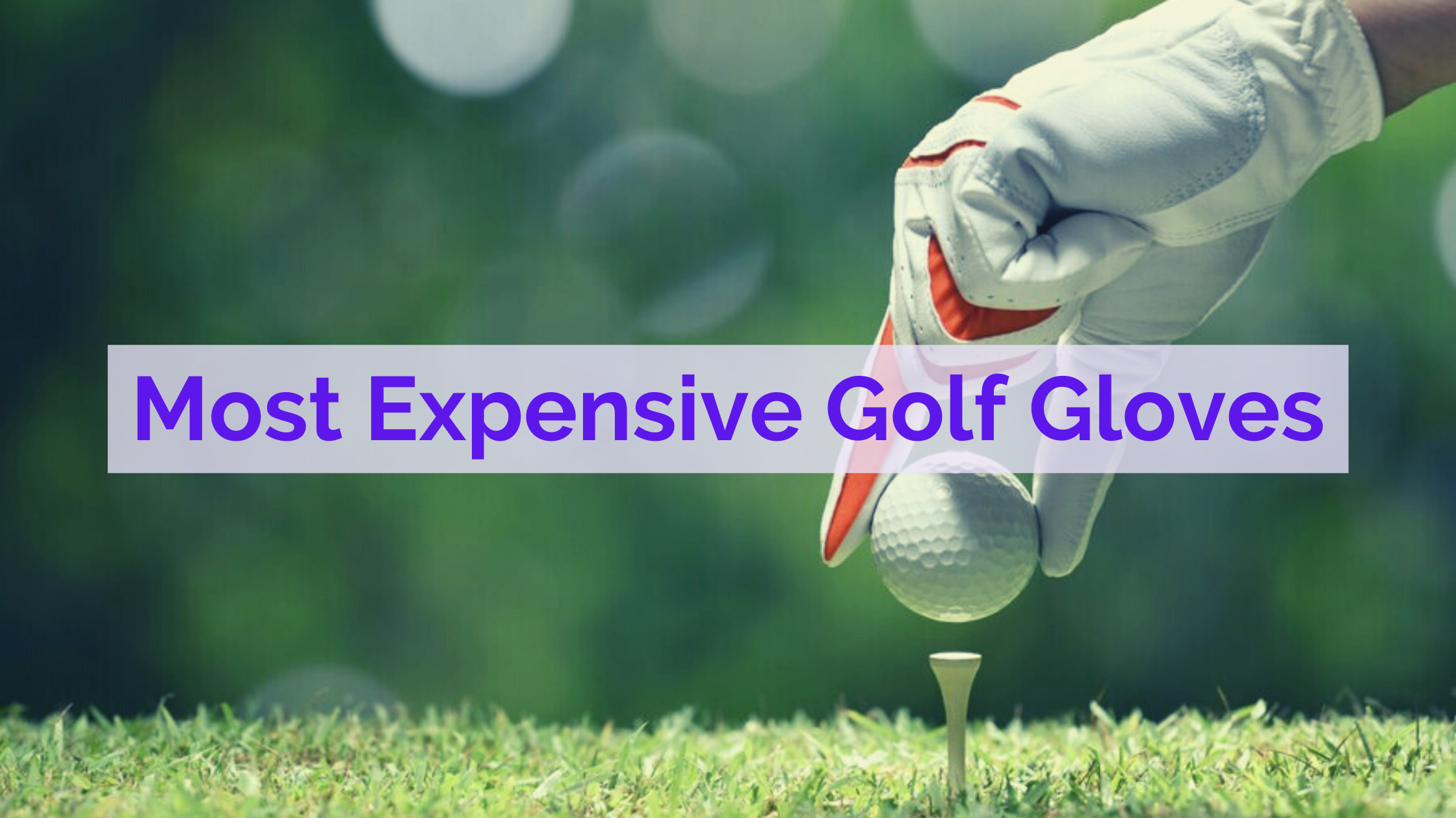 most expensive golf gloves