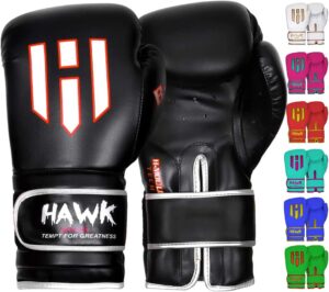 Hawk Boxing Gloves