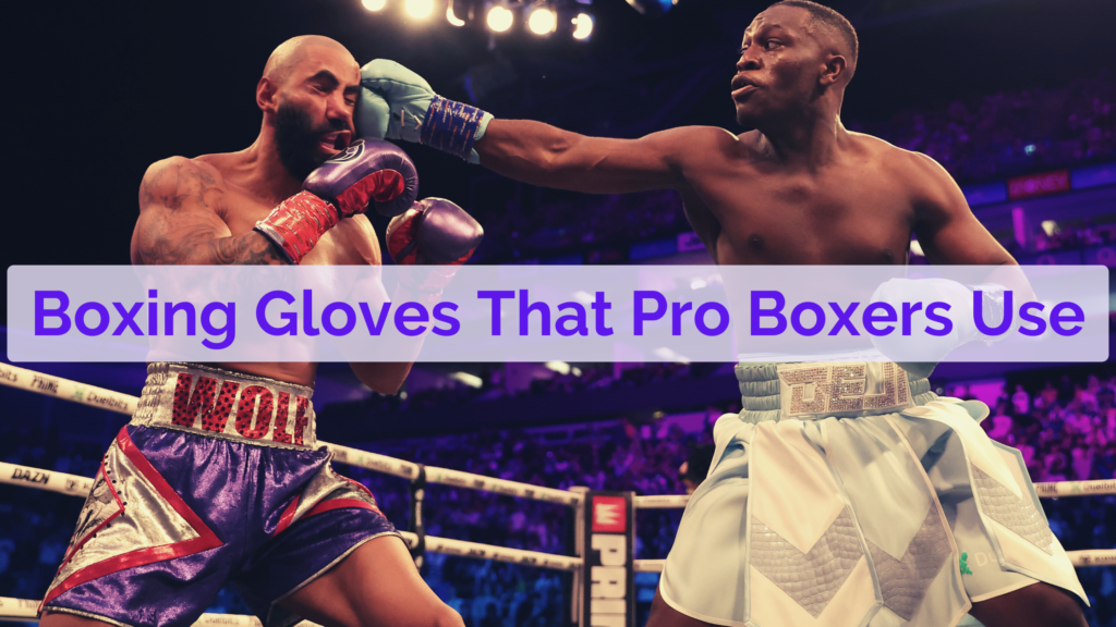 boxing gloves that pro boxers use